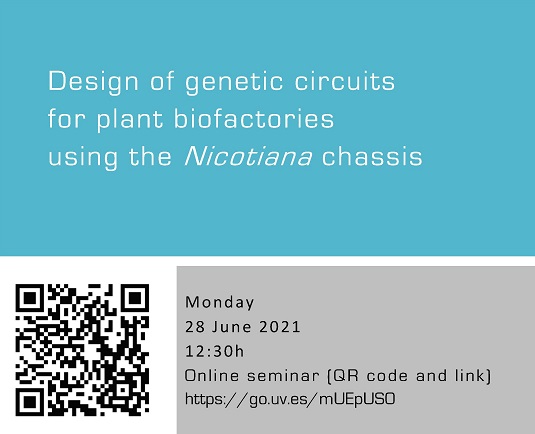 Design of genetic circuits for plant biofactories using the Nicotiana chassis